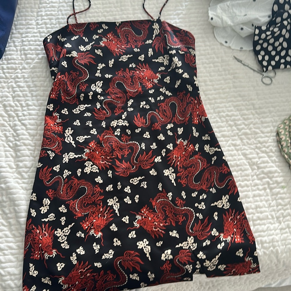 Zara Dragon 🐉 mini dress